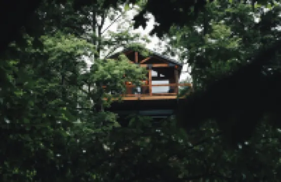 Luxury Treehouse Cabin over Salt Creek - Cabin 1