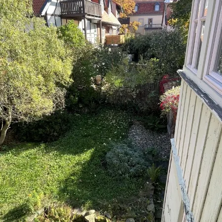 Holiday home Harz insider tip