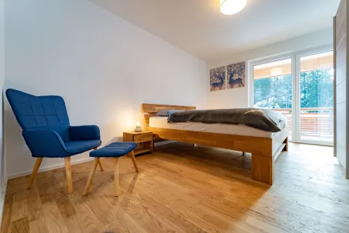 Feldberg Black Forest "Wolke 8" vacation apartment with private sauna