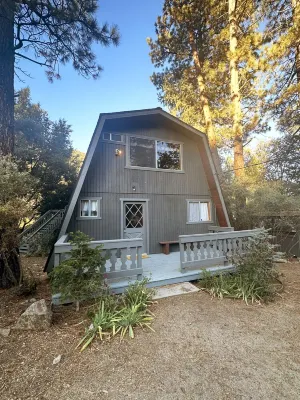 Cozy up in Our Cabin. We Have Starlink and a Wood Stove!