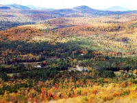 Hand-Crafted Cottage near Gore Mountain and Minerva Lake