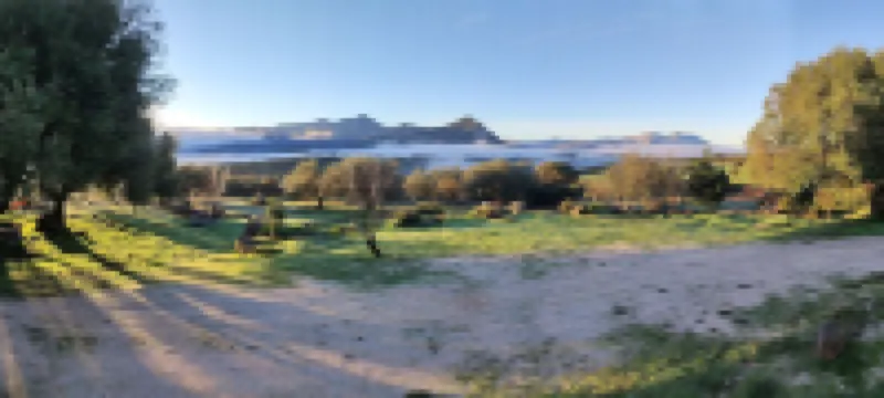 Sa Carruba - Typical rural house surrounded by greenery with panoramic views