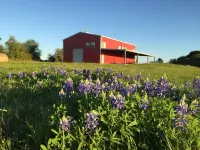Modern Barndominium on 20 quiet acres 10 miles from Round Top Antique Fair