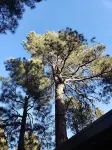 The Tiny  Basecamp