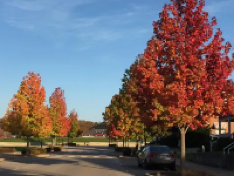 Charming,Cozy, Cottage - French Lick Quarters - Walk Casino/Resort, Pubs, Etc Hotels in Orange County