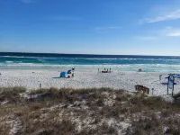 Booking Fall Beach Cottage and Private Pool 1 Blk to Henderson 3 Blks to Beach