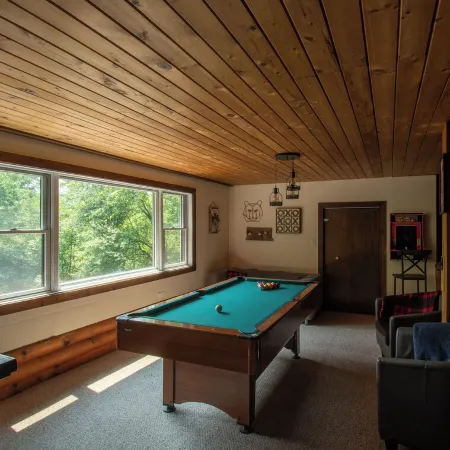 Cozy Cabin tucked in the woods. Pet-Friendly! 7 minutes from Ellicotville!