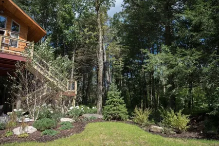 Cottage in the Woods B&B - Owl's Nest  - Treehouse -2mi. from falls trailhead