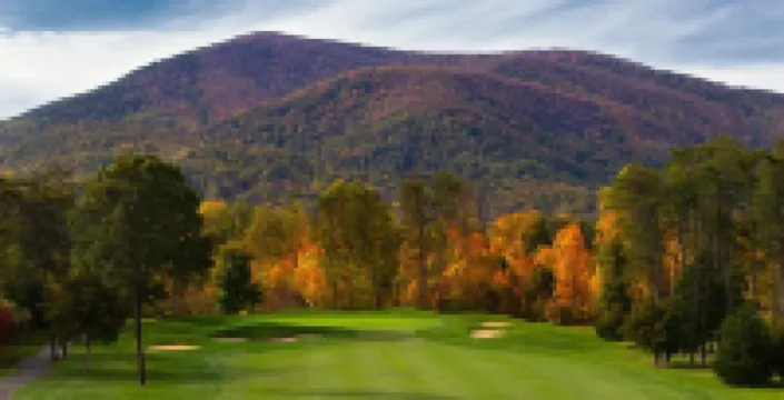 Rosie's Retreat: Cozy 3 BR, 3 Bath Condo in Wintergreen Resort, 1 mile to slopes