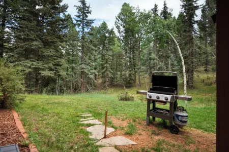 Pikes Peak Cabin in Divide, CO w/ Hot Tub, Game Room & Mountain Views
