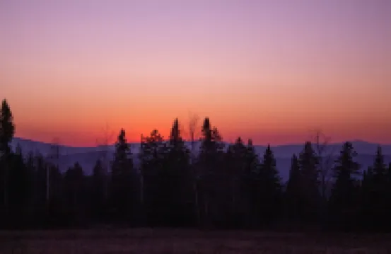 The Northwoods House - Direct ATV Access