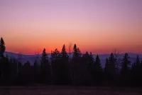 The Northwoods House - Direct ATV Access