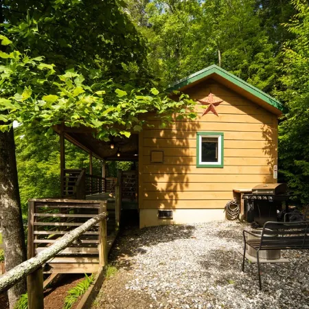 Relaxing cabin getaway only minutes from the Blue Ridge Parkway. Pet friendly!