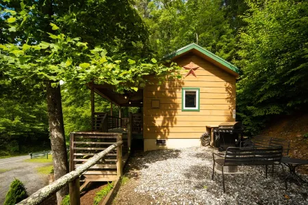 Relaxing cabin getaway only minutes from the Blue Ridge Parkway. Pet friendly!