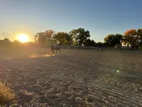 Poncho, minutes away from San Juan Quality Waters & Pinon Hills Golf course Hotels in San Juan County