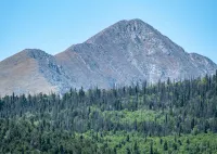 Sit on Your Deck in an Alpine Forest & Next to Mountain Stream