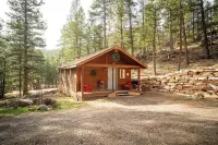 Private Hiking Trail! Cozy Canyon Cabin Near Rmnp w/ King Bed. Sleeps 4.