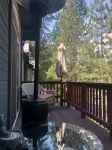 Hakuna Matata