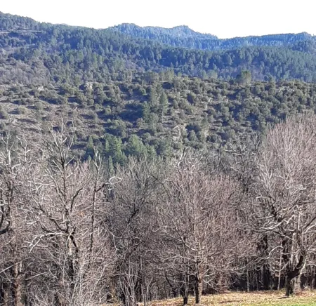Gite en Cevennes