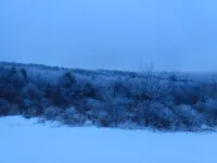 Tiny House Retreat Cabin
