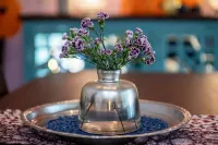 Global Inspired Retreat Oasis Hotels in Lake Magdalene