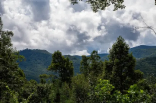 Perfectly Located Mountain Cabin with Breathtaking, Long Range Views!