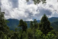 Perfectly Located Mountain Cabin with Breathtaking, Long Range Views!