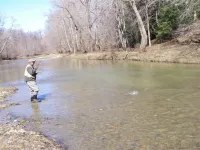 6 Bedroom Cottage Retreat with Conneaut Creek access