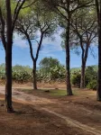 CALA LIBEROTTO SA PRAMA NICE APARTMENT WITH GARDEN 200 MT FROM THE SEA