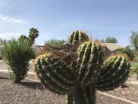 Large Upscale Vacation Home in Coyote Ranch with Private Pool and RV parking