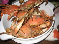 Ocean View Beach Cottage/3BR 2BA/Steps Away From the White, Sandy Beach!