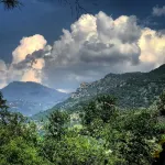 Chic 2B2b Bungalow w/ studio 3 mi to Sequoia NP - Dog Friendly!