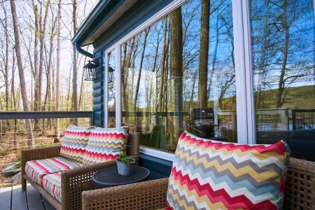 Log Cabin on A Lake with Private Dock & Beach! One Hour from NYC! No Pet Fees!