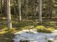 See Downeast Maine and Acadia National Park and stay in the Hummingbird!