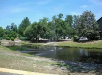 Juniper: 3 bedroom w/ pool