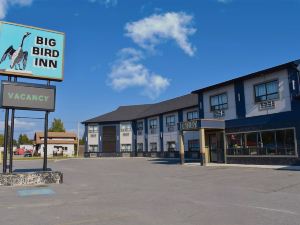 Big Bird Inn Wawa, SureStay Collection by Best Western