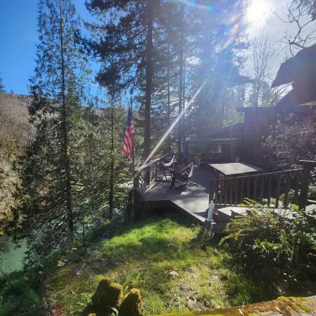 Welch Cabin <A License to Chill>                ~we LOVE dogs~