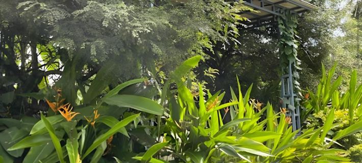 Rain Homestay Hotels in Alappuzha