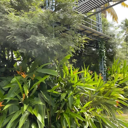 Rain Homestay