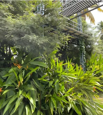 Rain Homestay - 3 stelle