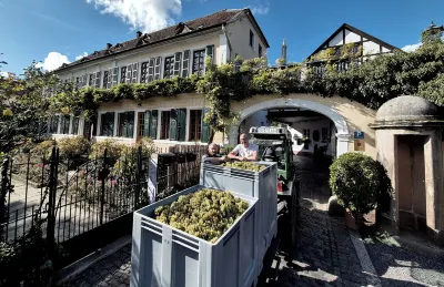 Gutshause Suite #1 "elisabeth" im Weingut Fitz-ritter - Vdp/biozertifiziert Hotels in der Nähe von Weingut Brenneis-Koch , Matth. Koch+Verena Suratny GbR
