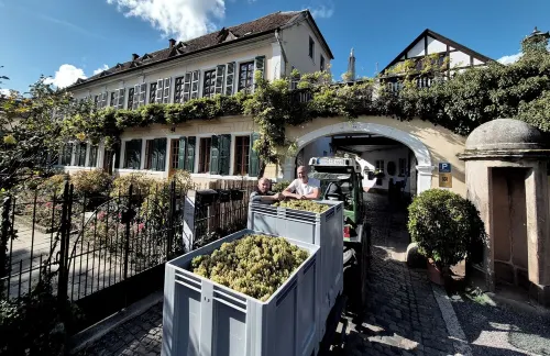 Gutshause Suite #1 "elisabeth" im Weingut Fitz-ritter - Vdp/biozertifiziert Hotels in Bad Dürkheim
