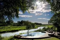 Lion Sands - Tinga Lodge Hotels in Ehlanzeni
