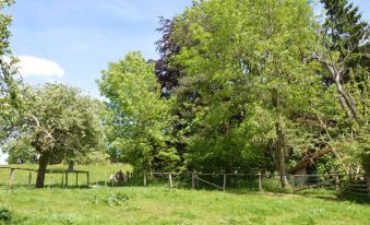 Family Villa in Ferrieres