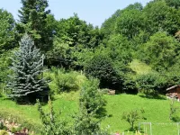 Holiday Home in the Thuringian Forest