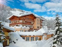 Apartment in Kleinarl Near Ski Slopes Hotels in Kleinarl