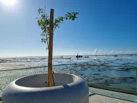Ape Praia Piscina e Academia P812