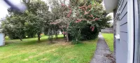 Sheena's Dartmouth Chalets Hotels near South Devon Railway - (Staverton,Station)