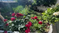 Denis Guest House Hotels in 