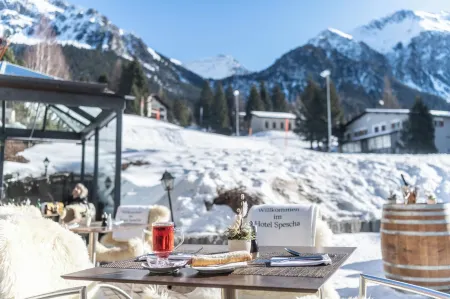 Hotel Spescha Отели в г. Ленцерхайде